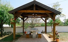 Forest Retreat
